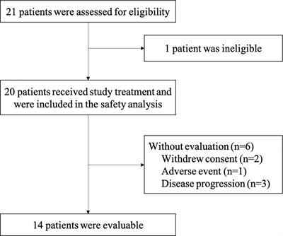 Antitumor activity and safety of camrelizumab combined with apatinib in patients with relapsed or refractory peripheral T-cell lymphoma: An open-label, multicenter, phase II study